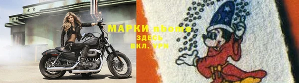 ПСИЛОЦИБИНОВЫЕ ГРИБЫ Алексеевка