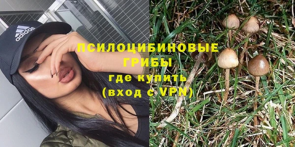 эйфоретик Алексин